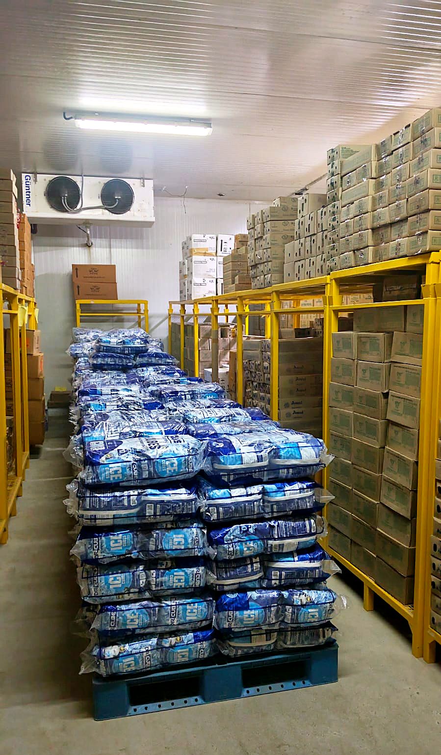 Evaporator unit and palletised ice cube stock inside the frozen storage in Coimbatore
